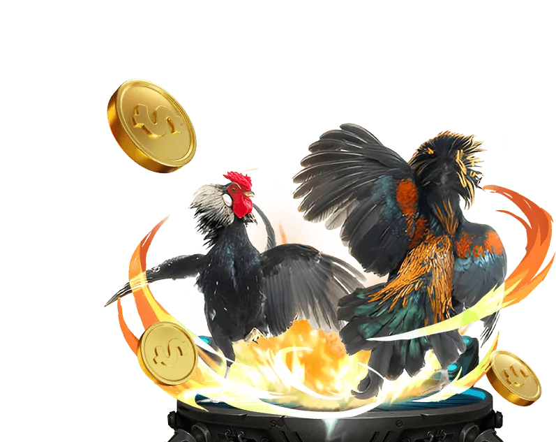 Tham gia FB88 Đá Gà và nhận thưởng lớn